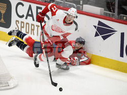 Red Wings Capitals Hockey
