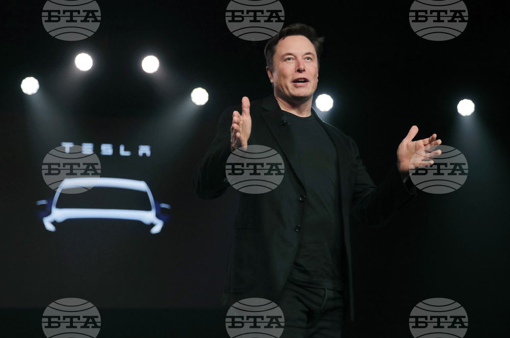 Musk Tesla Vandalism