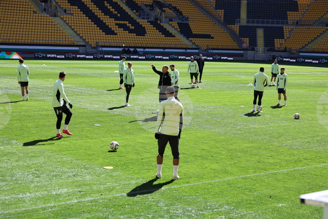 Ирландските медии настояват Трой Парот и Адам Айда да водят заедно атаката срещу България утре