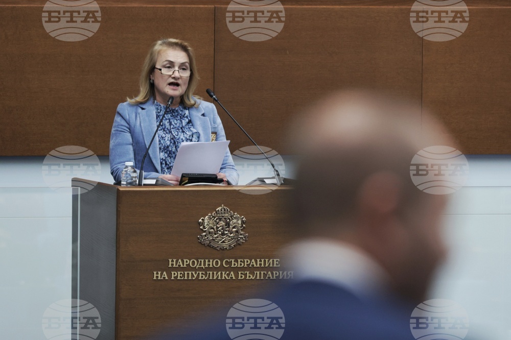 Парламент - заседание - Красимира Нинова-Катинчарова