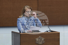 Парламент - заседание - Красимира Нинова-Катинчарова
