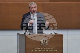 Парламент - заседание - Драгомир Стойнев