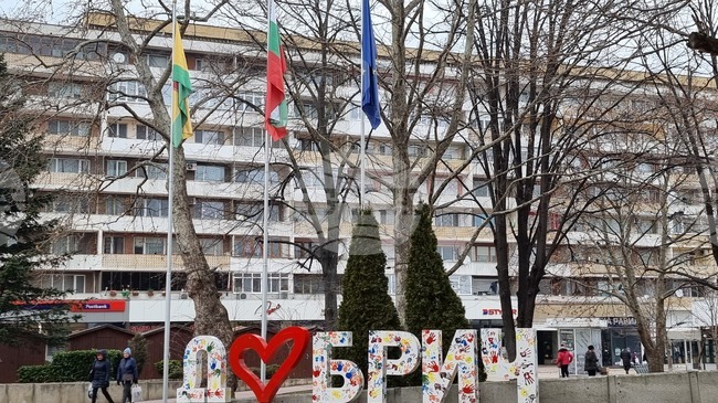 Учители, инженери и логопед са сред обявените свободни работни позиции в Дирекция "Бюро по труда" в Добрич