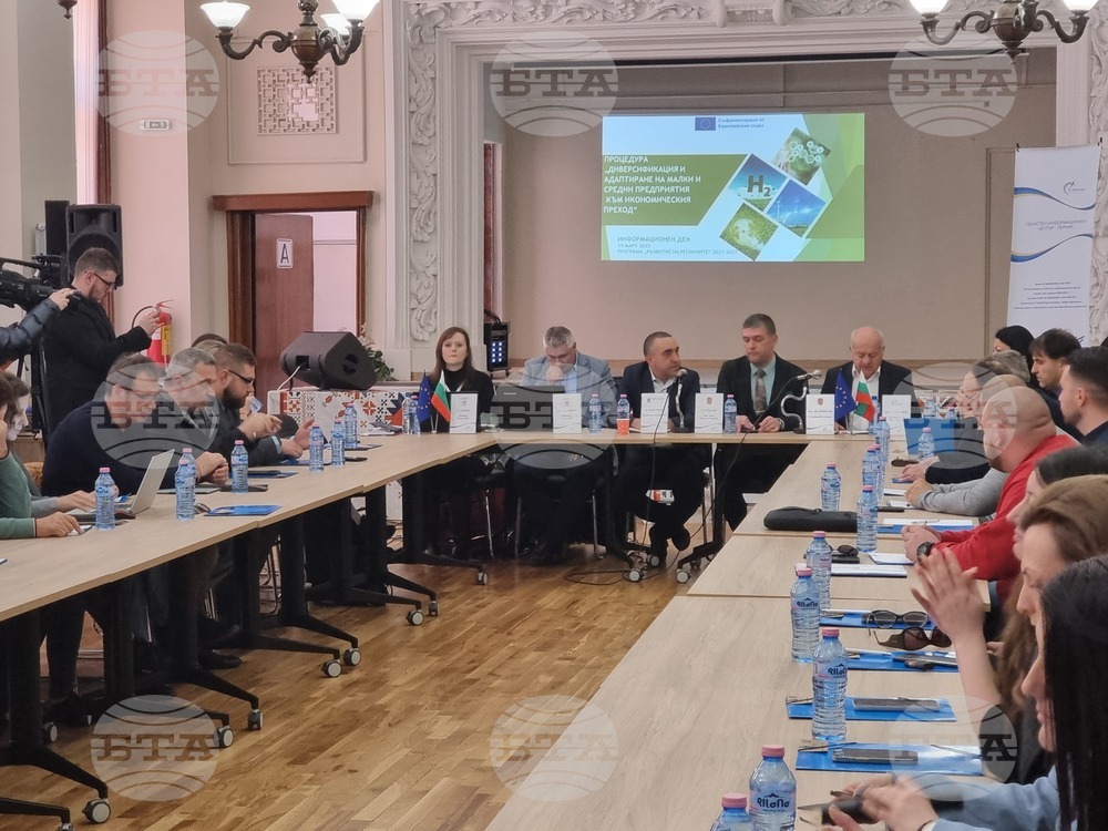 Експерти представиха в Перник процедурата "Диверсификация и адаптиране на малки и средни предприятия към икономическия преход" 