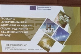 Перник - „Диверсификация и адаптиране на малки и средни предприятия към икономическия преход“ - среща