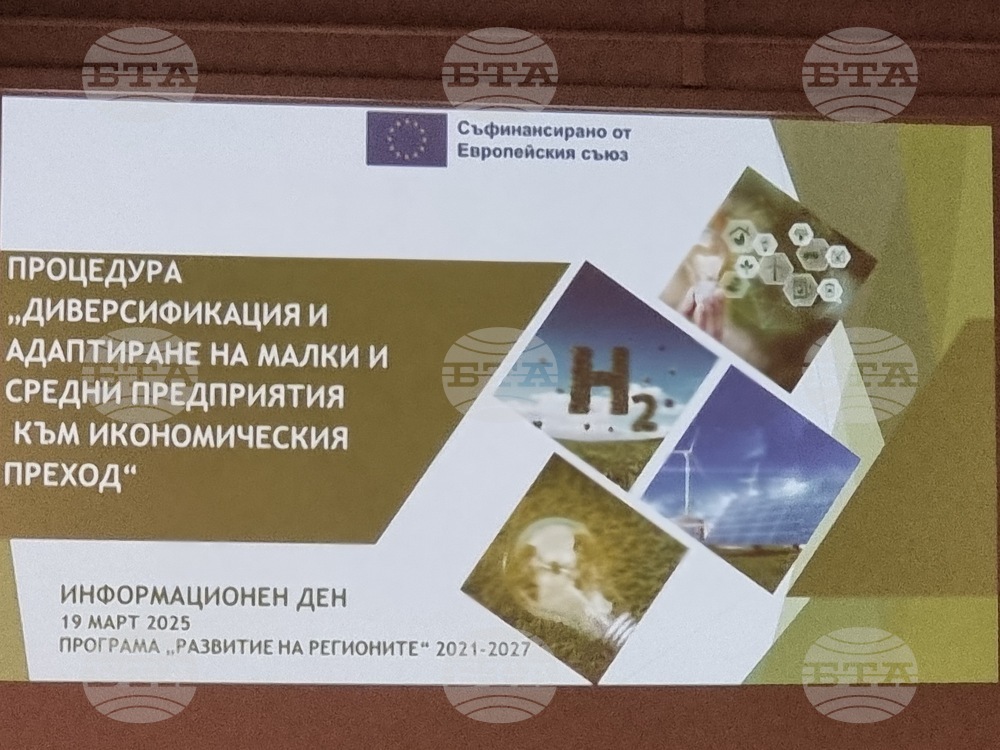 Перник - „Диверсификация и адаптиране на малки и средни предприятия към икономическия преход“ - среща