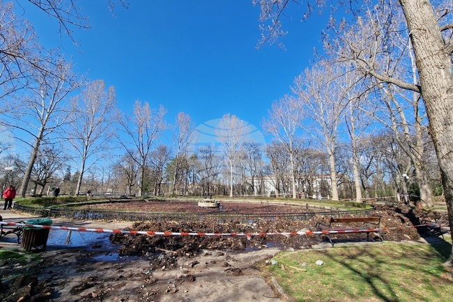 Sofia Mayor Terziev Unveils BGN 330 M Green Push in 2025 Budget