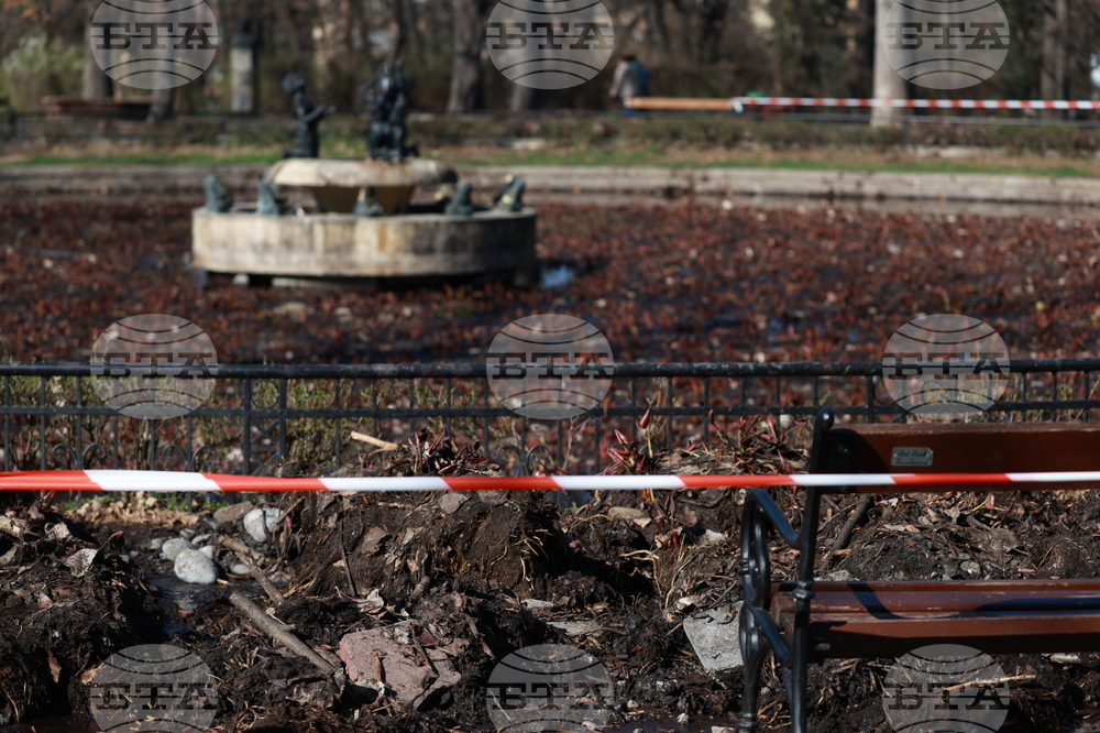 Парк Борисова градина - Езерото с лилиите - почистване