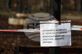 Парк Борисова градина - Езерото с лилиите - почистване