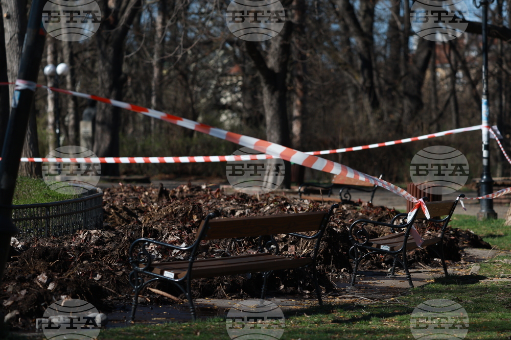 Парк Борисова градина - Езерото с лилиите - почистване