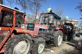 Сърбия - лагер на контрапротестиращи