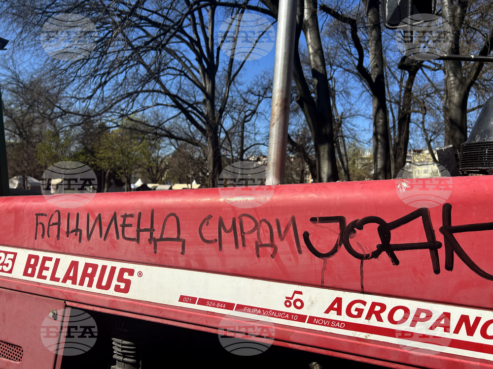 Сърбия - лагер на контрапротестиращи