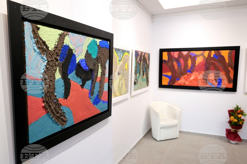 Свилен Блажев - изложба „Маслини“