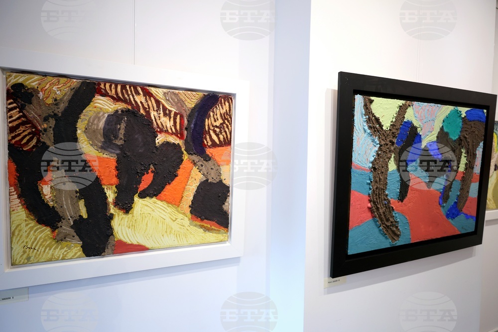 Свилен Блажев - изложба „Маслини“