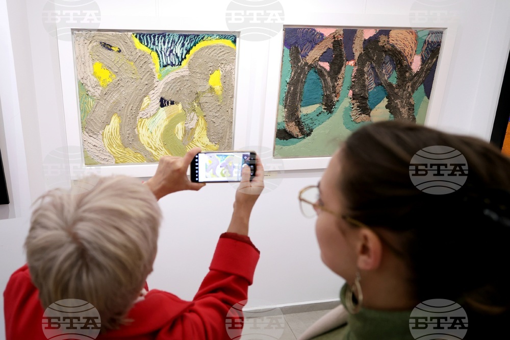 Свилен Блажев - изложба „Маслини“