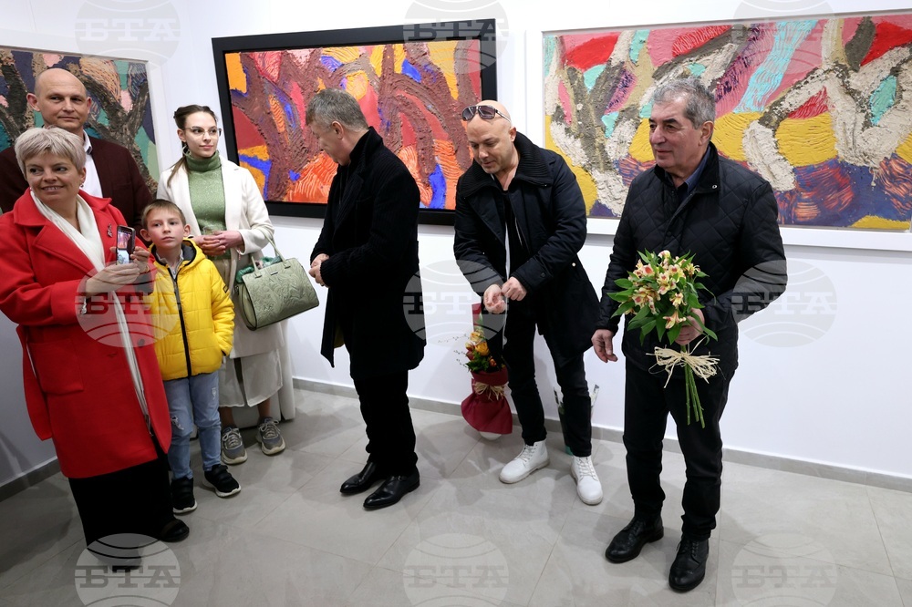 Свилен Блажев - изложба „Маслини“