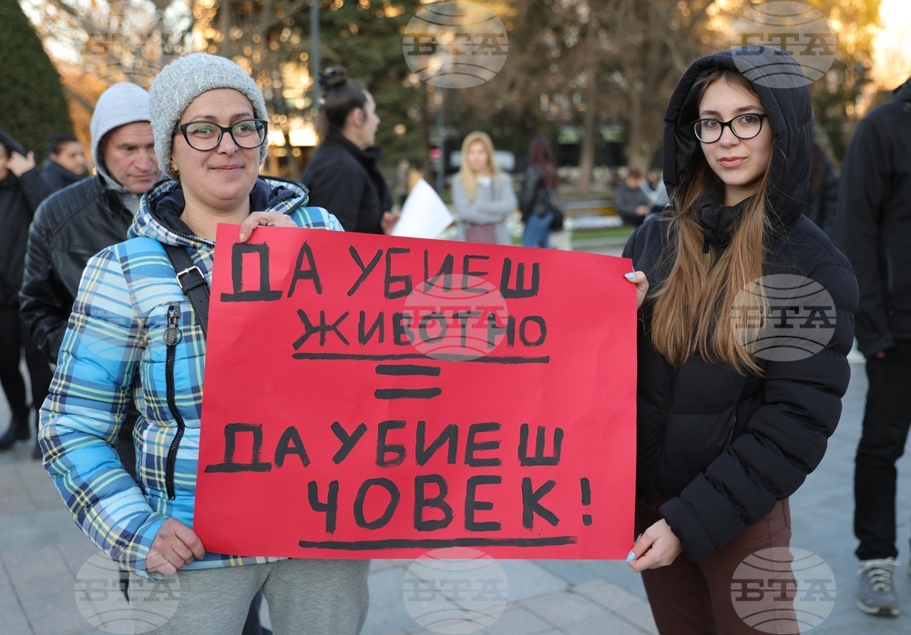 Русе - протест срещу насилието над животни