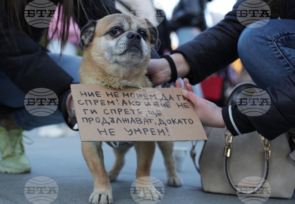 Русе - протест срещу насилието над животни