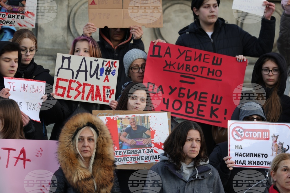 Русе - протест срещу насилието над животни