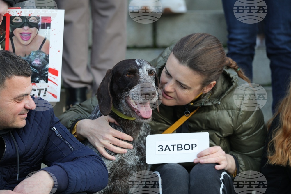 Русе - протест срещу насилието над животни