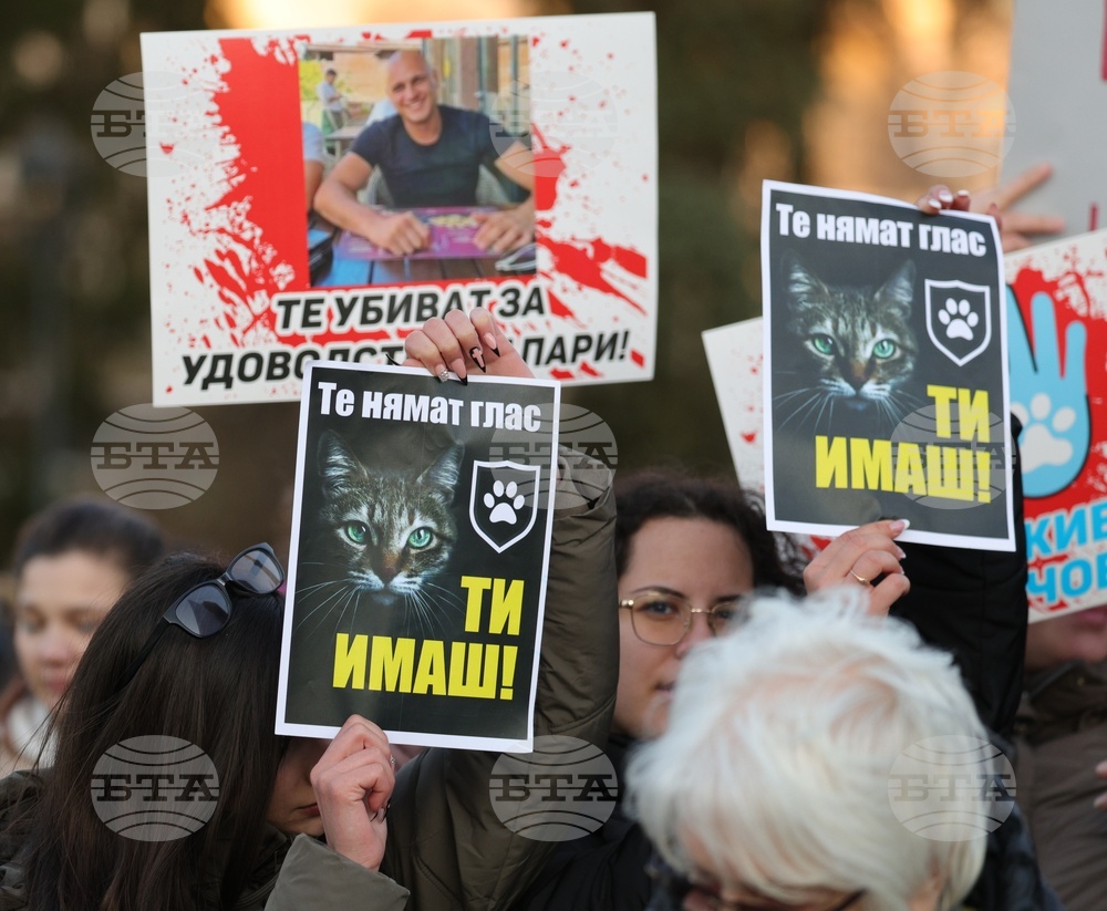 Русе - протест срещу насилието над животни