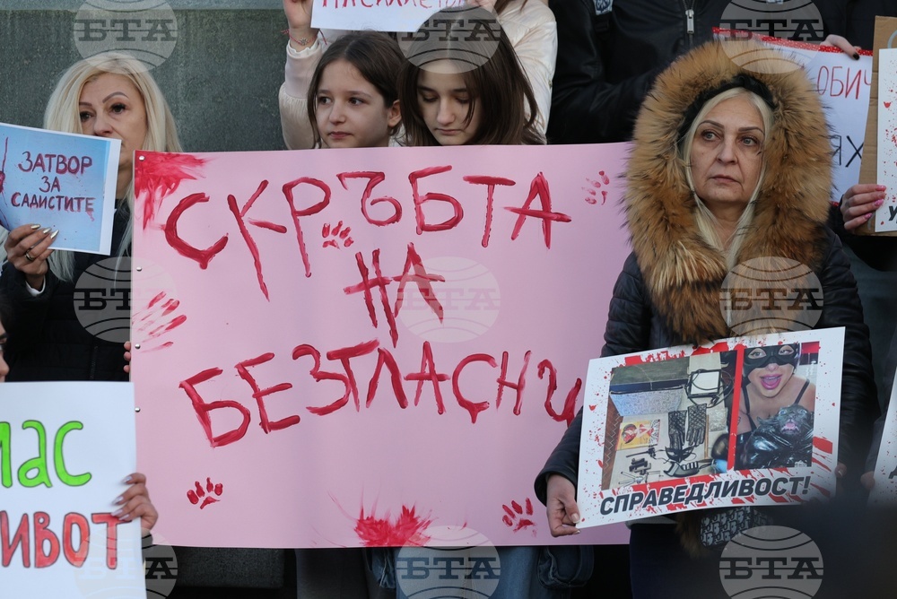 Русе - протест срещу насилието над животни