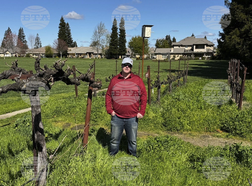 California-Wine-Tariffs
