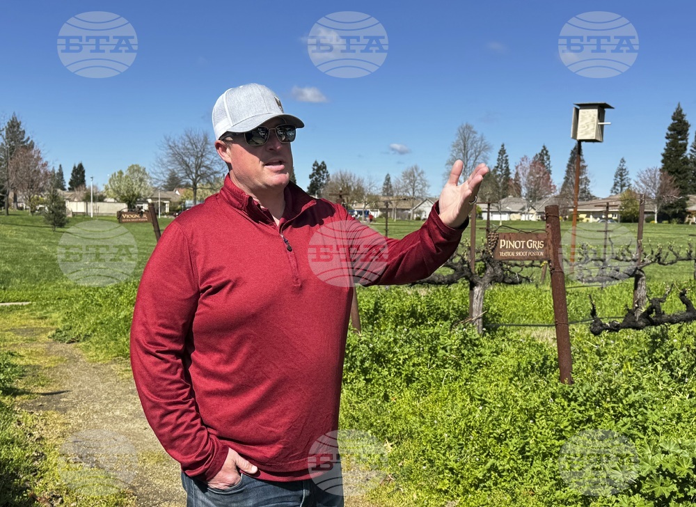 California-Wine-Tariffs