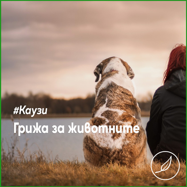 Зелено движение: Отношението към животните е категорично мерило за хуманността на българското общество