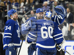 Avalanche Maple Leafs Hockey