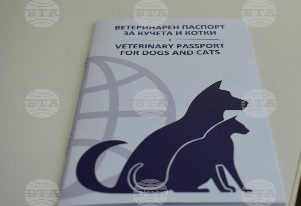 Община Разград апелира към стопаните на домашните кучета да ги декларират