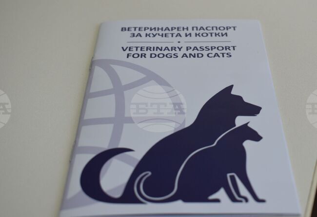 Община Разград апелира към стопаните на домашните кучета да ги декларират