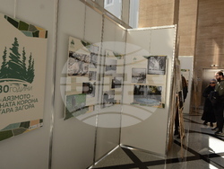 Снимка: Община Стара Загора