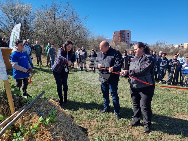В двора на Селскостопанската гимназия в Кюстендил беше засадена нова орехова градина