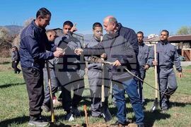 Кюстендил - орехова градина - засаждане