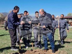 Кюстендил - орехова градина - засаждане