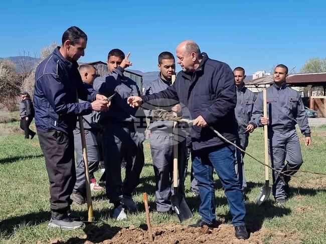 Кюстендил - орехова градина - засаждане