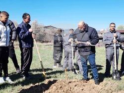 Кюстендил - орехова градина - засаждане