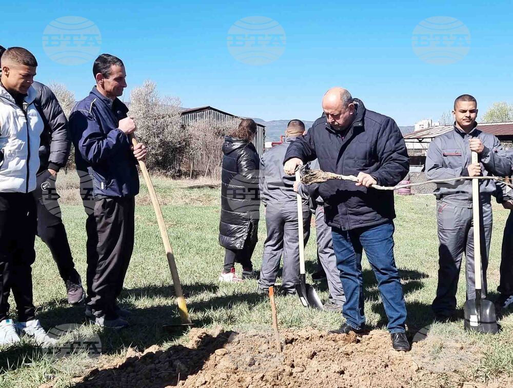Кюстендил - орехова градина - засаждане