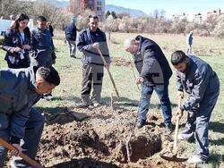 Кюстендил - орехова градина - засаждане