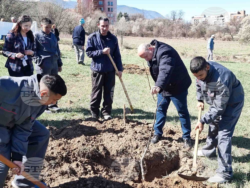 Кюстендил - орехова градина - засаждане