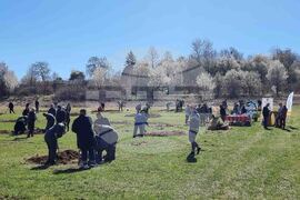 Кюстендил - орехова градина - засаждане