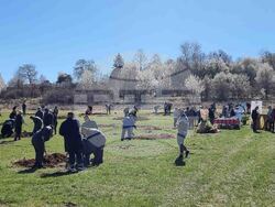 Кюстендил - орехова градина - засаждане