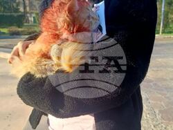 Лом-животни-протест-4