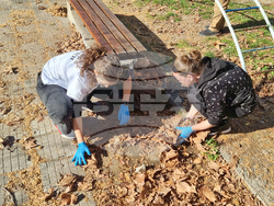 Плевен - ученици - пролетно почистване