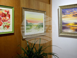 Варна - галерия 12 - Милена Левичарова - изложба