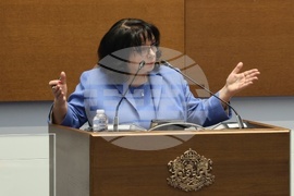 Народно събрание - заседание - законопроект за държавния бюджет за 2025