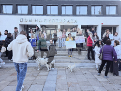 Гоце Делчев - протест срещу насилието над животни