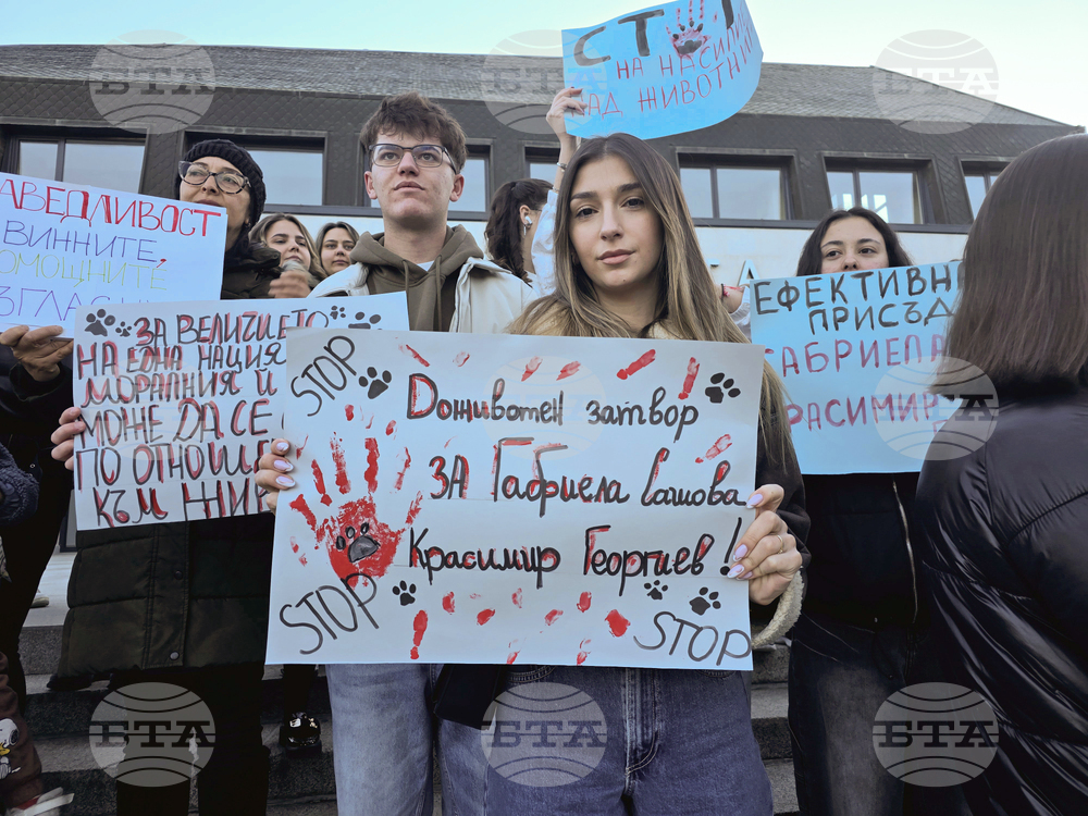 Десетки жители на Гоце Делчев се събраха на мирна демонстрация срещу насилието над животни