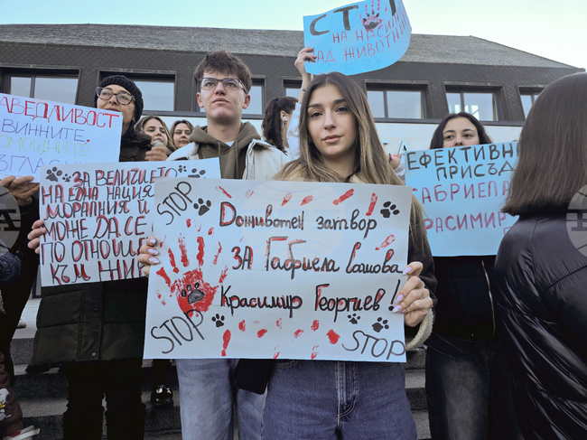 Десетки жители на Гоце Делчев се събраха на мирна демонстрация срещу насилието над животни